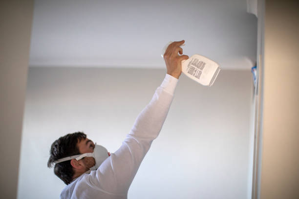 Best Mold Removal Near Me  in El Dorado Hills, CA