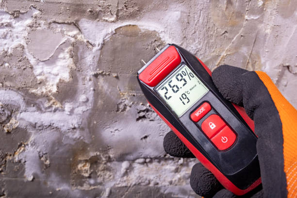 Best Mold Testing  in El Dorado Hills, CA
