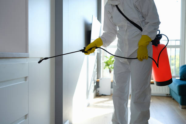 Best Mold Remediation  in El Dorado Hills, CA